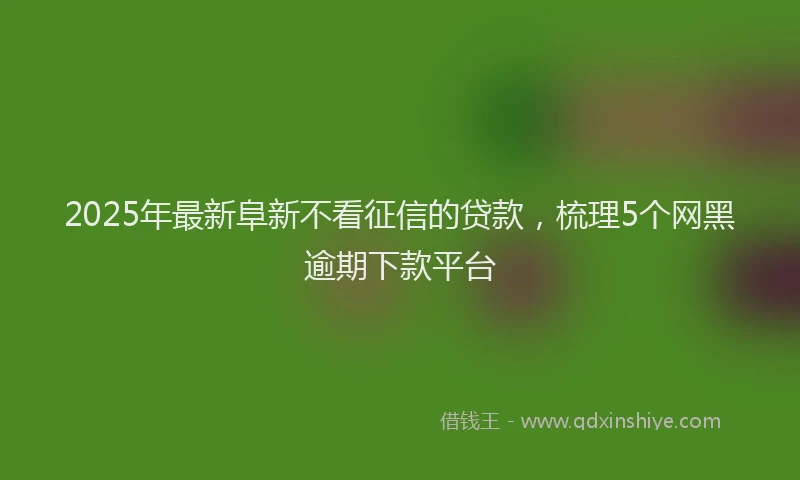 2025年最新阜新不看征信的贷款，梳理5个网黑逾期下款平台