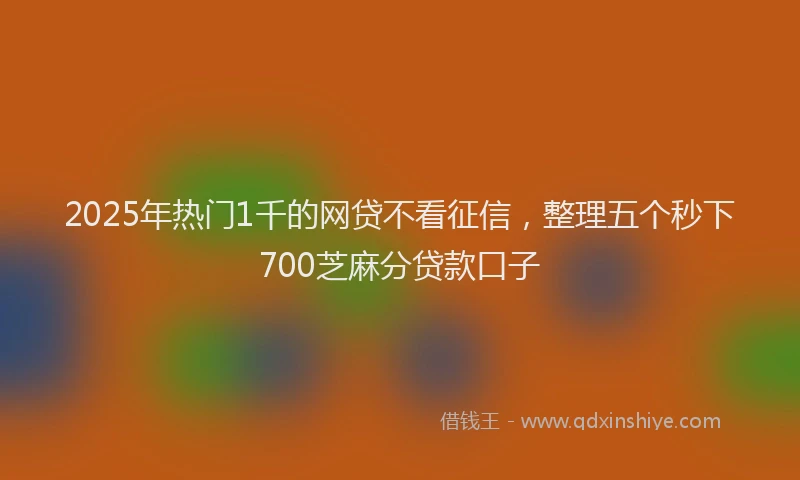 2025年热门1千的网贷不看征信，整理五个秒下700芝麻分贷款口子