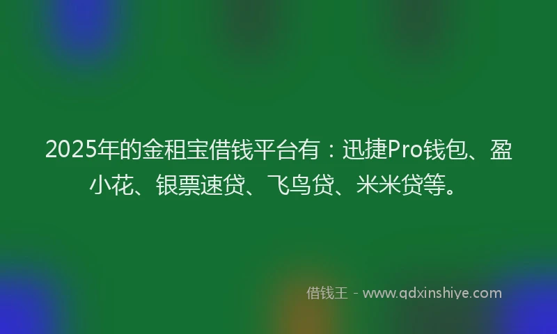 2025年的金租宝借钱平台有：迅捷Pro钱包、盈小花、银票速贷、飞鸟贷、米米贷等。