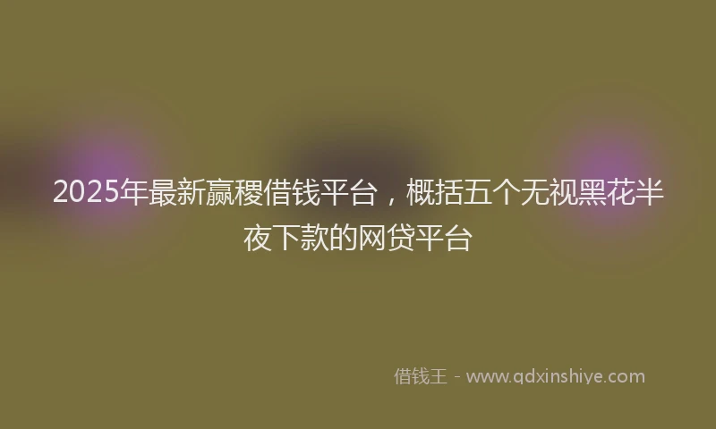 2025年最新赢稷借钱平台，概括五个无视黑花半夜下款的网贷平台