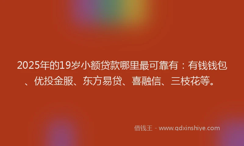 2025年的19岁小额贷款哪里最可靠有：有钱钱包、优投金服、东方易贷、喜融信、三枝花等。
