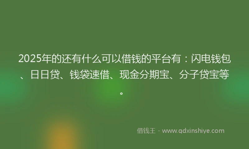 2025年的还有什么可以借钱的平台有：闪电钱包、日日贷、钱袋速借、现金分期宝、分子贷宝等。