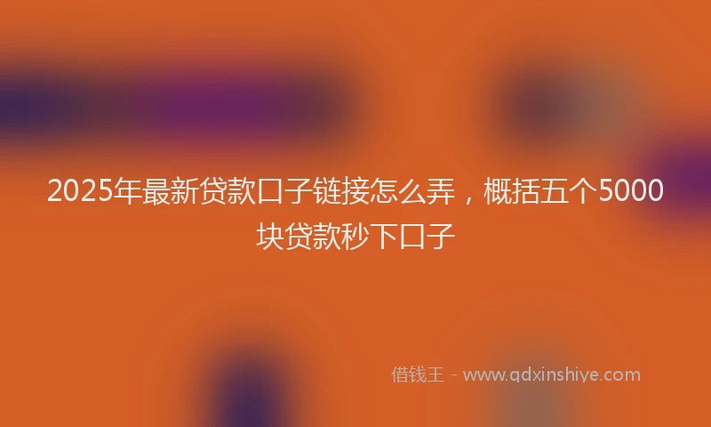 2025年最新贷款口子链接怎么弄，概括五个5000块贷款秒下口子