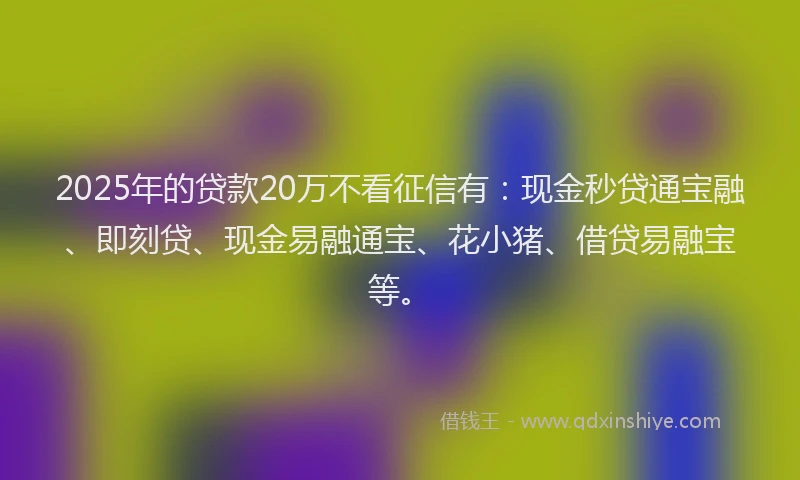 2025年的贷款20万不看征信有：现金秒贷通宝融、即刻贷、现金易融通宝、花小猪、借贷易融宝等。