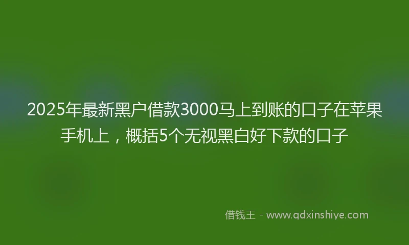 2025年最新黑户借款3000马上到账的口子在苹果手机上，概括5个无视黑白好下款的口子