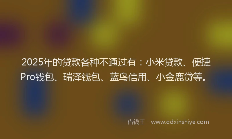 2025年的贷款各种不通过有：小米贷款、便捷Pro钱包、瑞泽钱包、蓝鸟信用、小金鹿贷等。