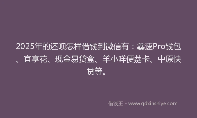 2025年的还呗怎样借钱到微信有：鑫速Pro钱包、宜享花、现金易贷盒、羊小咩便荔卡、中原快贷等。