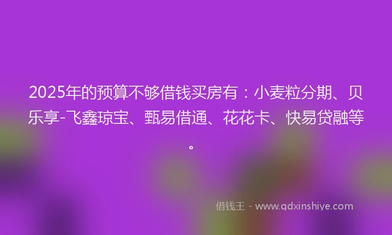 2025年的预算不够借钱买房有：小麦粒分期、贝乐享-飞鑫琼宝、甄易借通、花花卡、快易贷融等。