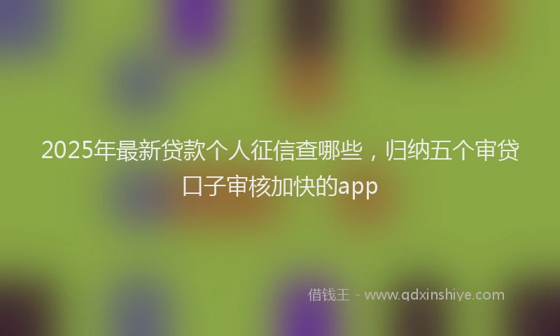 2025年最新贷款个人征信查哪些，归纳五个审贷口子审核加快的app
