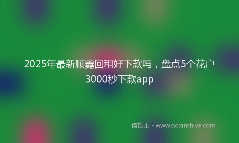 2025年最新顺鑫回租好下款吗，盘点5个花户3000秒下款app