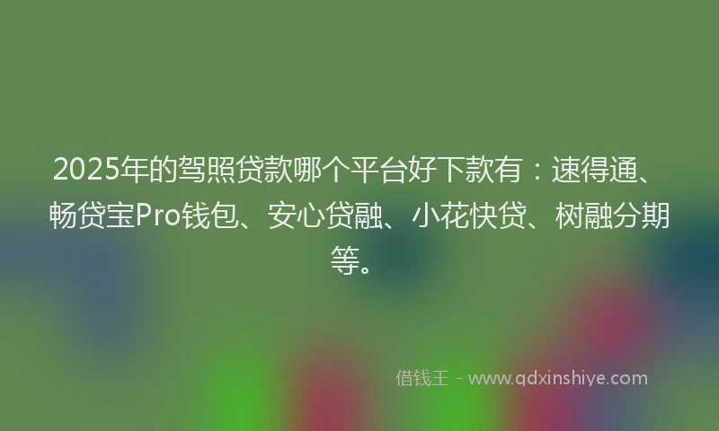 2025年的驾照贷款哪个平台好下款有：速得通、畅贷宝Pro钱包、安心贷融、小花快贷、树融分期等。