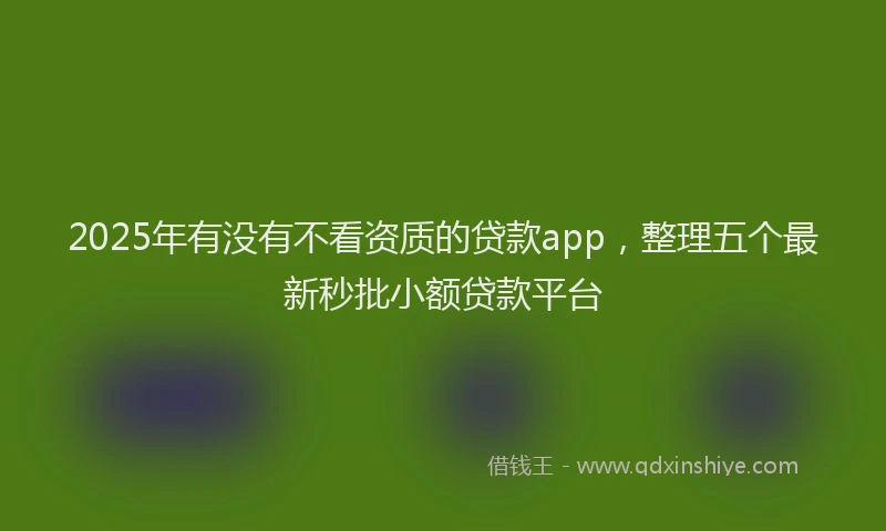 2025年有没有不看资质的贷款app，整理五个最新秒批小额贷款平台
