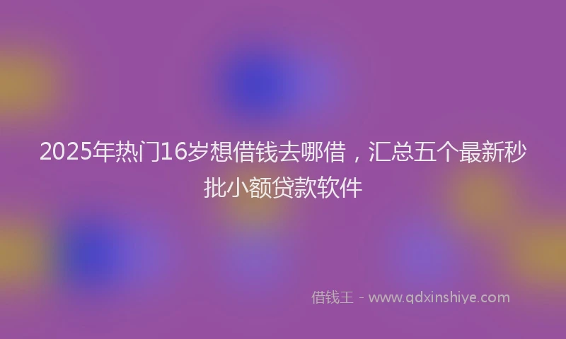 2025年热门16岁想借钱去哪借，汇总五个最新秒批小额贷款软件