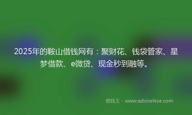 2025年的鞍山借钱网有：聚财花、钱袋管家、星梦借款、e微贷、现金秒到融等。