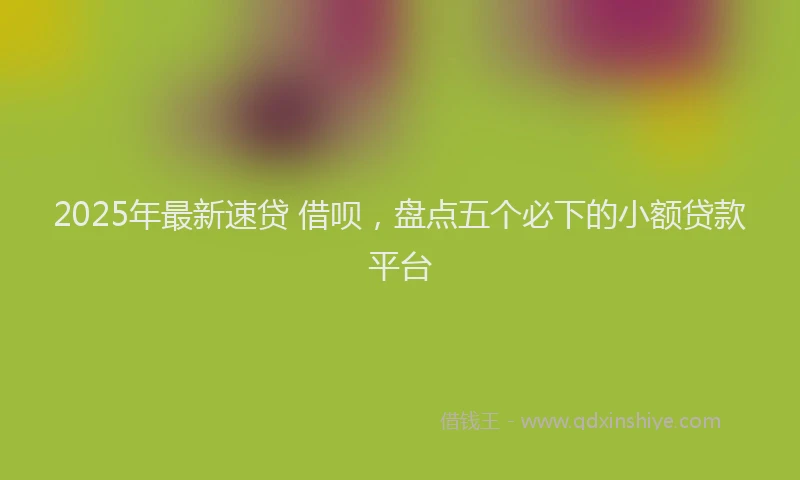 2025年最新速贷 借呗，盘点五个必下的小额贷款平台