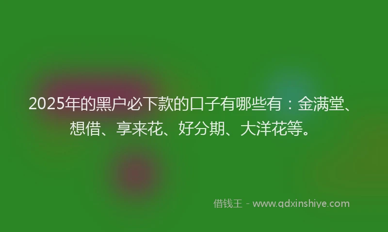 2025年的黑户必下款的口子有哪些有：金满堂、想借、享来花、好分期、大洋花等。