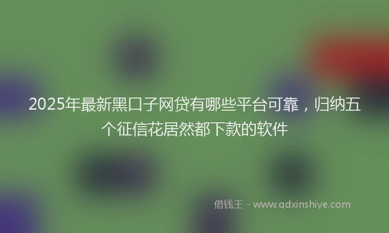 2025年最新黑口子网贷有哪些平台可靠，归纳五个征信花居然都下款的软件