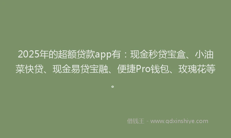 2025年的超额贷款app有：现金秒贷宝盒、小油菜快贷、现金易贷宝融、便捷Pro钱包、玫瑰花等。