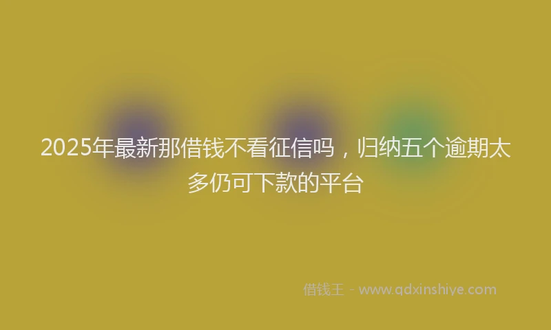 2025年最新那借钱不看征信吗，归纳五个逾期太多仍可下款的平台