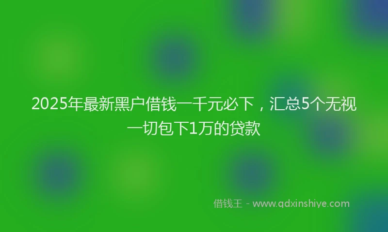 2025年最新黑户借钱一千元必下，汇总5个无视一切包下1万的贷款