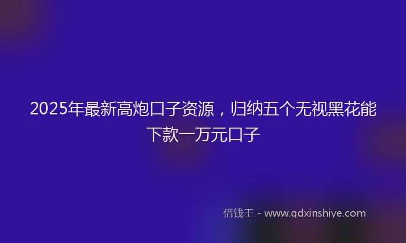 2025年最新高炮口子资源，归纳五个无视黑花能下款一万元口子