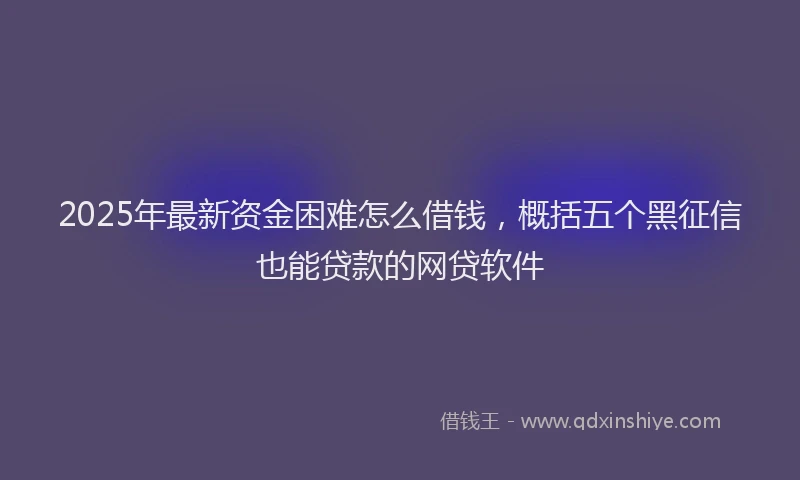 2025年最新资金困难怎么借钱，概括五个黑征信也能贷款的网贷软件