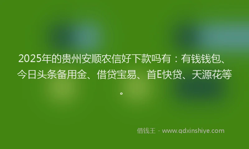 2025年的贵州安顺农信好下款吗有：有钱钱包、今日头条备用金、借贷宝易、首E快贷、天源花等。