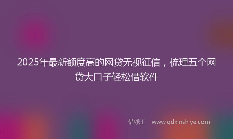 2025年最新额度高的网贷无视征信，梳理五个网贷大口子轻松借软件
