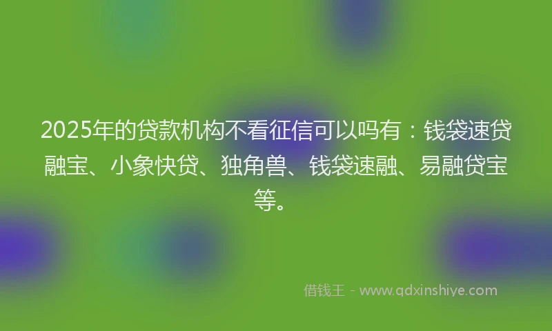 2025年的贷款机构不看征信可以吗有：钱袋速贷融宝、小象快贷、独角兽、钱袋速融、易融贷宝等。