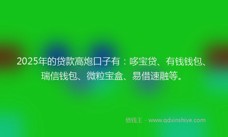 2025年的贷款高炮口子有：哆宝贷、有钱钱包、瑞信钱包、微粒宝盒、易借速融等。