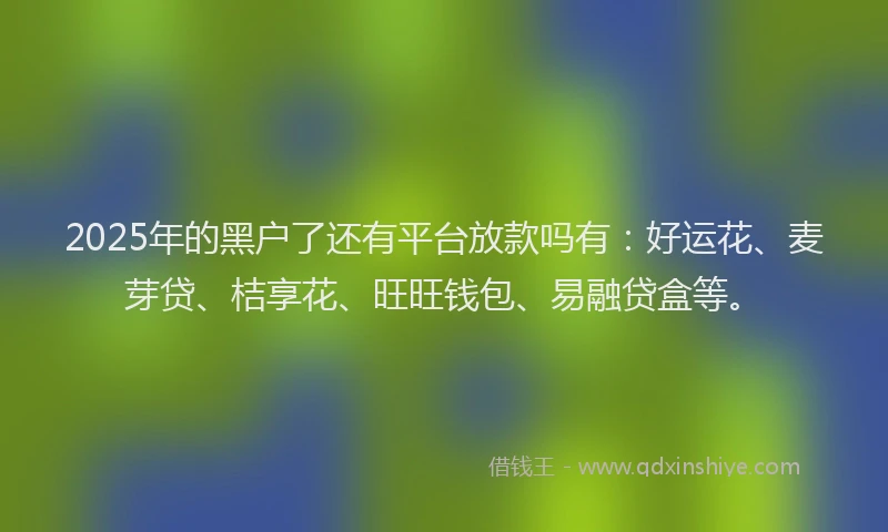 2025年的黑户了还有平台放款吗有：好运花、麦芽贷、桔享花、旺旺钱包、易融贷盒等。