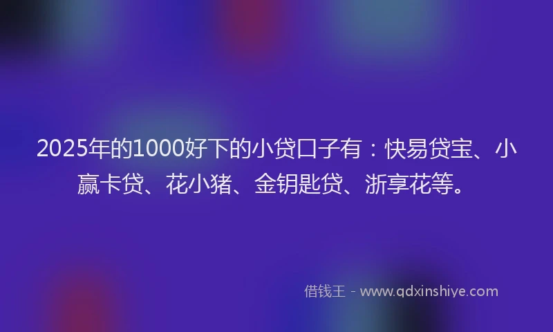 2025年的1000好下的小贷口子有：快易贷宝、小赢卡贷、花小猪、金钥匙贷、浙享花等。