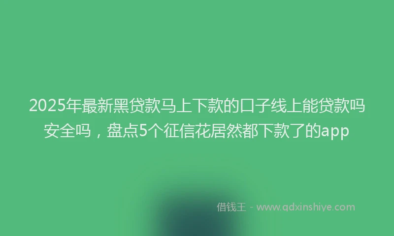 2025年最新黑贷款马上下款的口子线上能贷款吗安全吗，盘点5个征信花居然都下款了的app