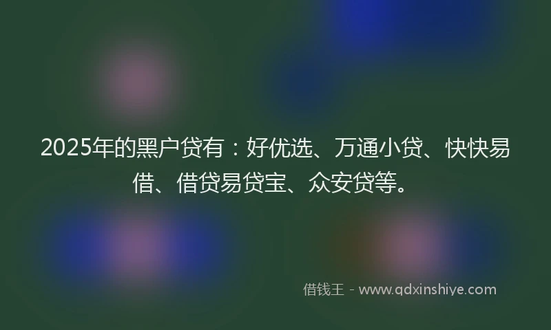 2025年的黑户贷有：好优选、万通小贷、快快易借、借贷易贷宝、众安贷等。