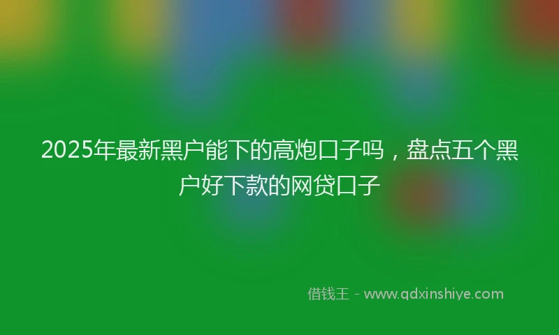 2025年最新黑户能下的高炮口子吗，盘点五个黑户好下款的网贷口子