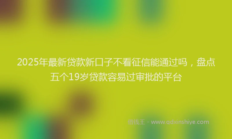 2025年最新贷款新口子不看征信能通过吗，盘点五个19岁贷款容易过审批的平台