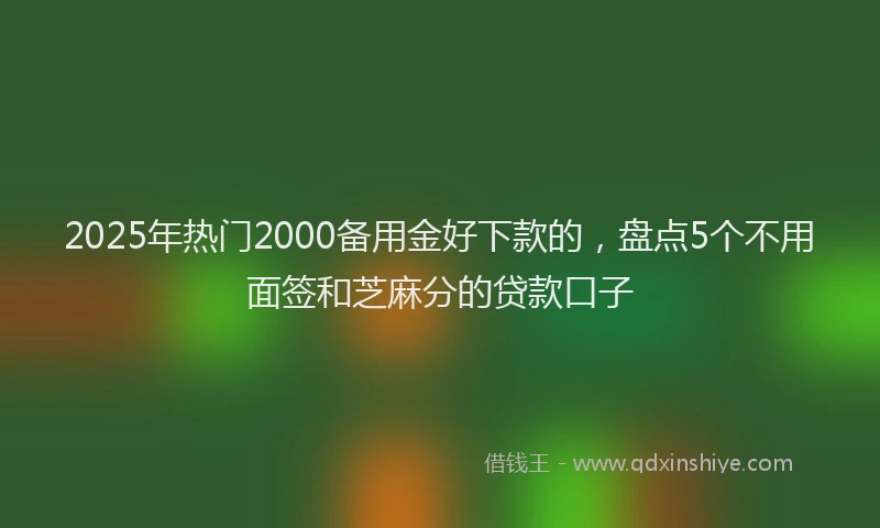 2025年热门2000备用金好下款的，盘点5个不用面签和芝麻分的贷款口子