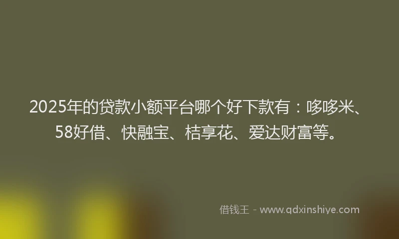 2025年的贷款小额平台哪个好下款有：哆哆米、58好借、快融宝、桔享花、爱达财富等。