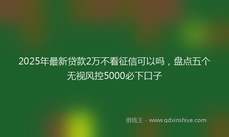 2025年最新贷款2万不看征信可以吗，盘点五个无视风控5000必下口子