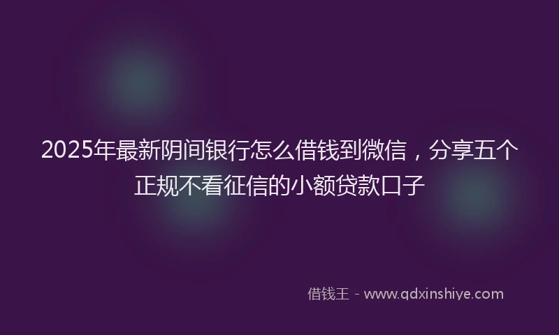 2025年最新阴间银行怎么借钱到微信，分享五个正规不看征信的小额贷款口子