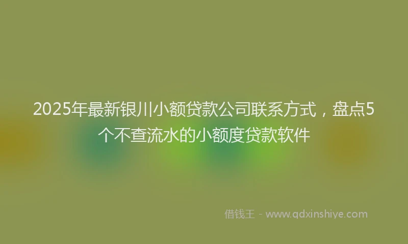 2025年最新银川小额贷款公司联系方式，盘点5个不查流水的小额度贷款软件