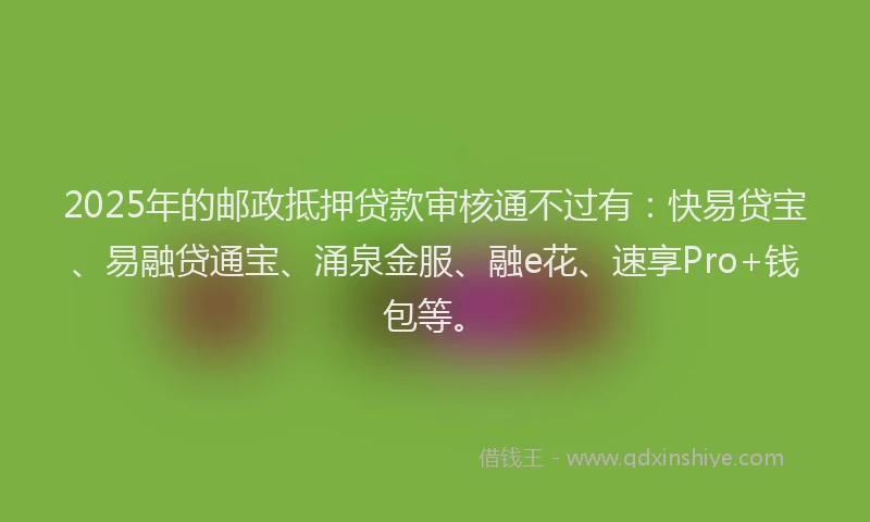 2025年的邮政抵押贷款审核通不过有：快易贷宝、易融贷通宝、涌泉金服、融e花、速享Pro+钱包等。