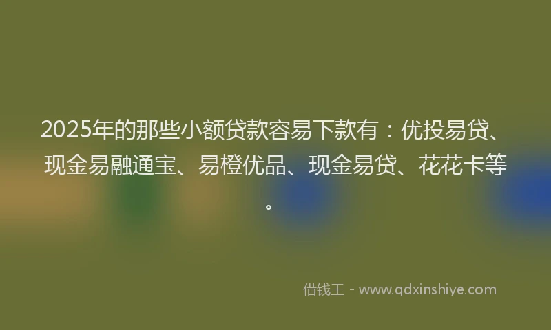2025年的那些小额贷款容易下款有：优投易贷、现金易融通宝、易橙优品、现金易贷、花花卡等。