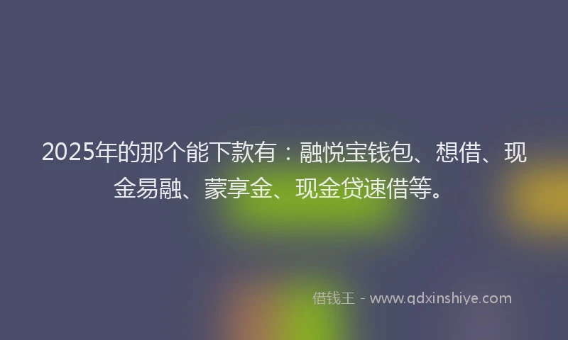 2025年的那个能下款有：融悦宝钱包、想借、现金易融、蒙享金、现金贷速借等。