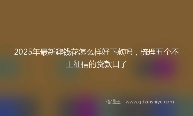 2025年最新趣钱花怎么样好下款吗，梳理五个不上征信的贷款口子