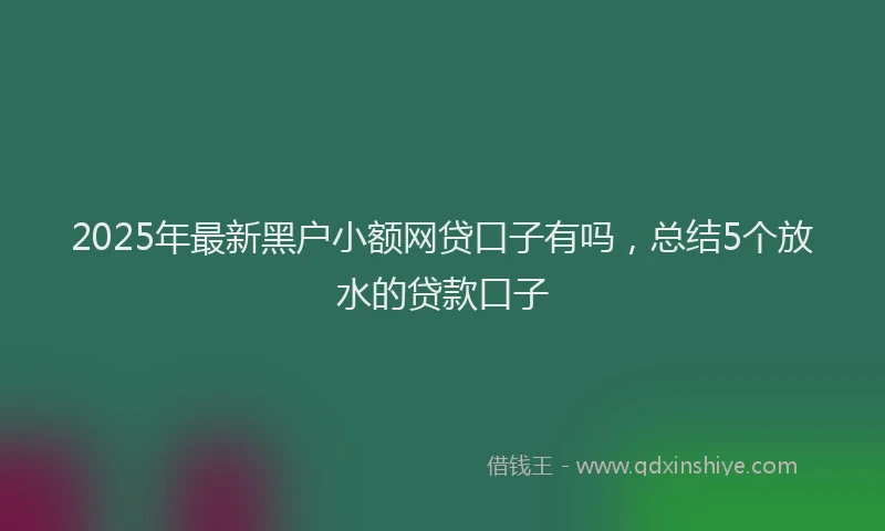 2025年最新黑户小额网贷口子有吗，总结5个放水的贷款口子