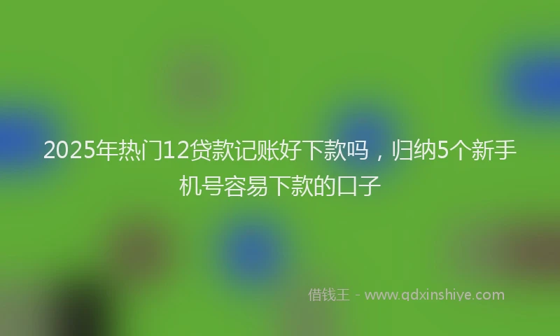 2025年热门12贷款记账好下款吗，归纳5个新手机号容易下款的口子
