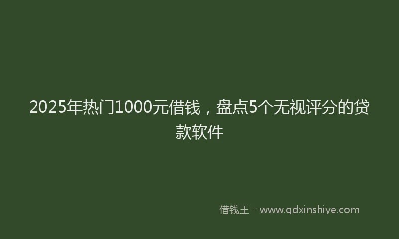 2025年热门1000元借钱，盘点5个无视评分的贷款软件