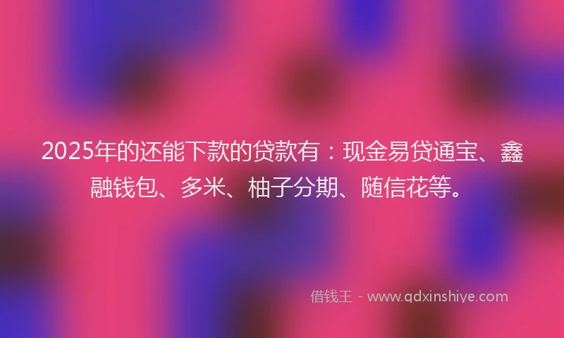2025年的还能下款的贷款有：现金易贷通宝、鑫融钱包、多米、柚子分期、随信花等。