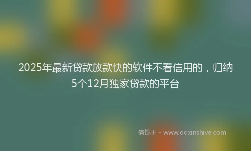 2025年最新贷款放款快的软件不看信用的，归纳5个12月独家贷款的平台